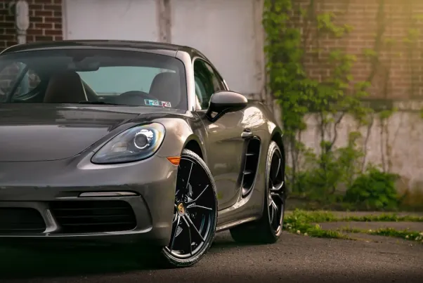 Spin Pug Casino Android/iOS App